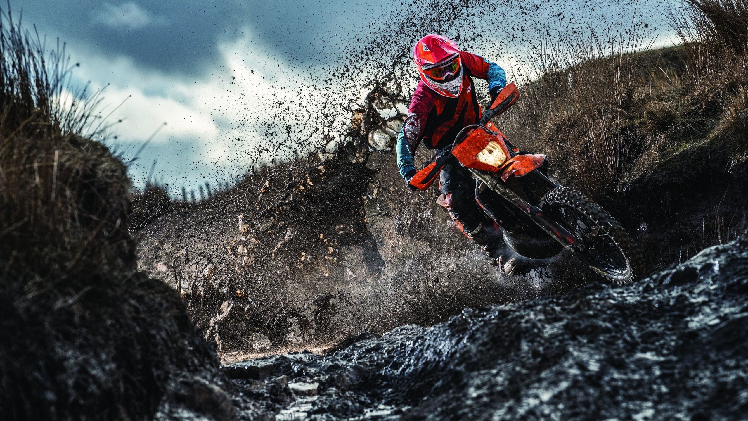 女子篮球青训队伍推行个性化发展计划，女子篮球队风采展示