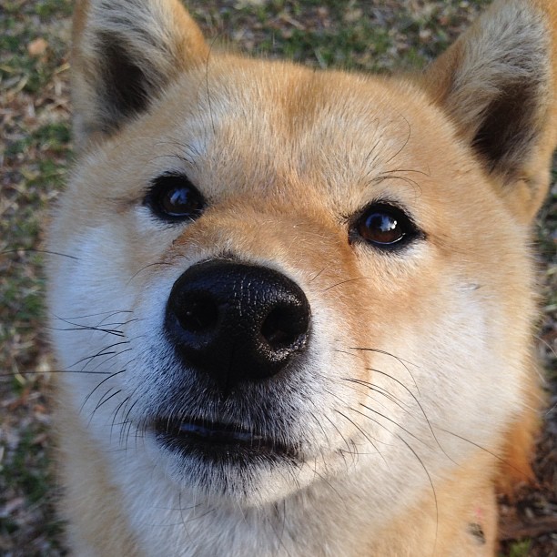 kaiyun网站-国际友谊赛：不同国家球队的精彩较量，国际友谊赛百度百科